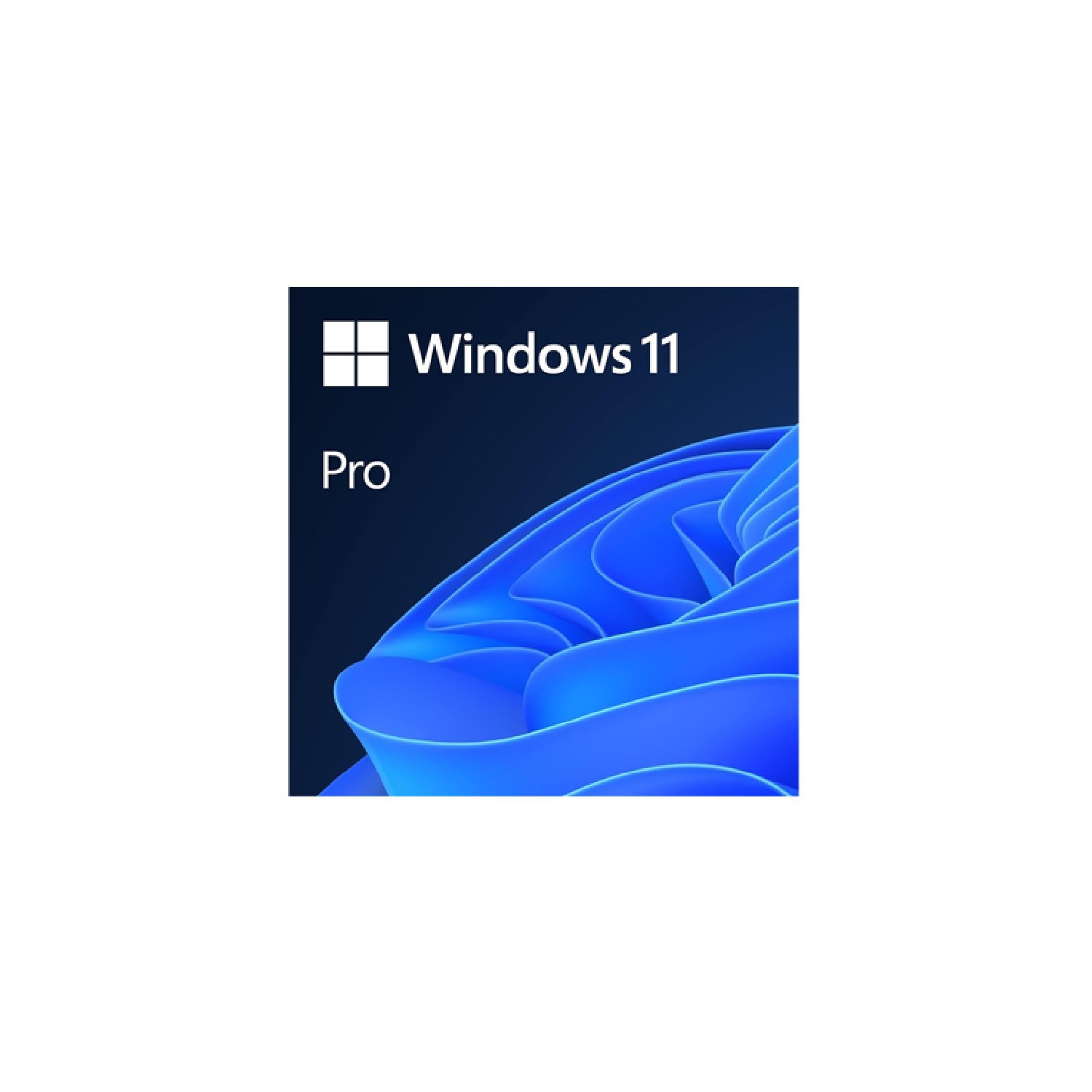 Microsoft Windows 11 Professional 64Bit OEM | FQC-10528